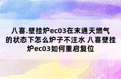 八喜.壁挂炉ec03在末通天燃气的状态下怎么炉子不注水 八喜壁挂炉ec03如何重启复位